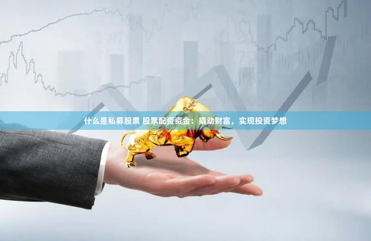 什么是私募股票 股票配资资金：撬动财富，实现投资梦想