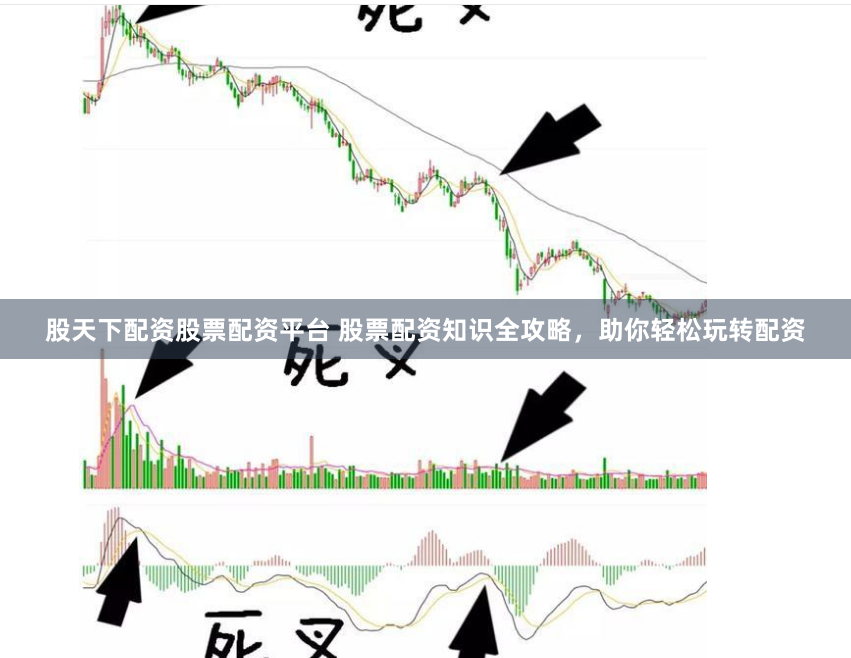 股天下配资股票配资平台 股票配资知识全攻略,助你轻松玩转配资