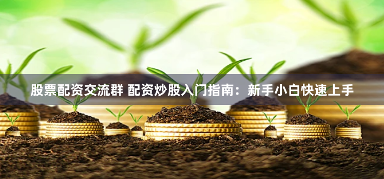 股票配资交流群 配资炒股入门指南：新手小白快速上手