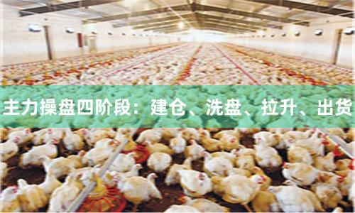 主力操盘四阶段：建仓、洗盘、拉升、出货