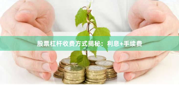 股票杠杆收费方式揭秘：利息+手续费
